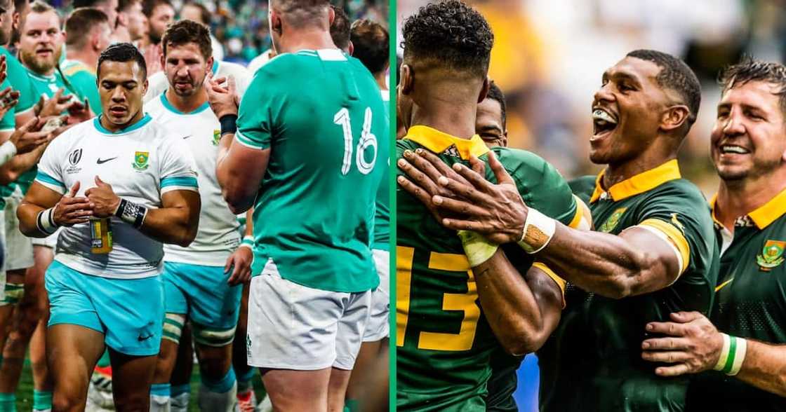 Nienaber says Springboks can still win Rugby World Cup