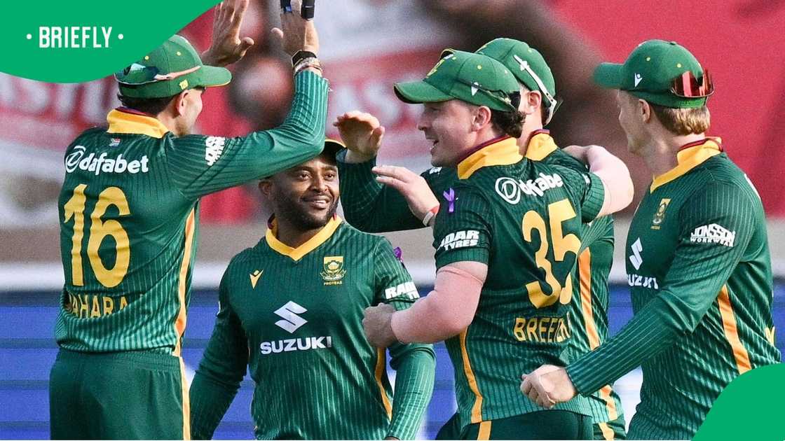 Proteas