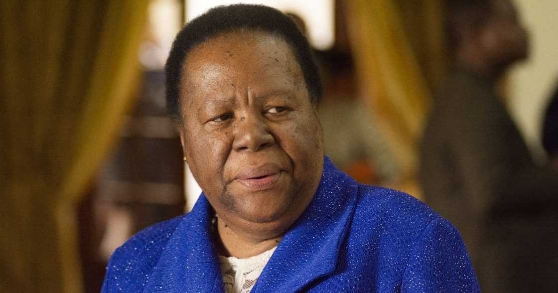 South African diplomat, Vienna apartment, trashed, R53k damages South African diplomat, Vienna apartment, trashed, R53k damages