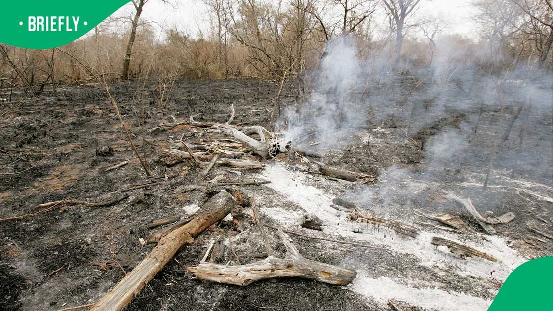 Fire warning dangers have been issued for large parts of the country