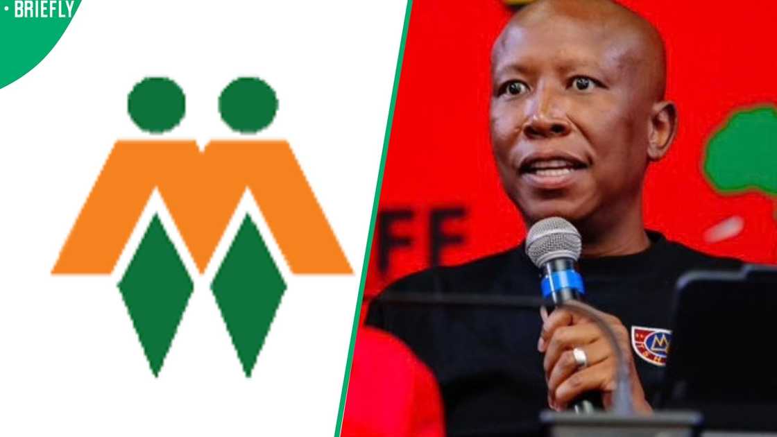 Afriforum Malema Afriforum Malema