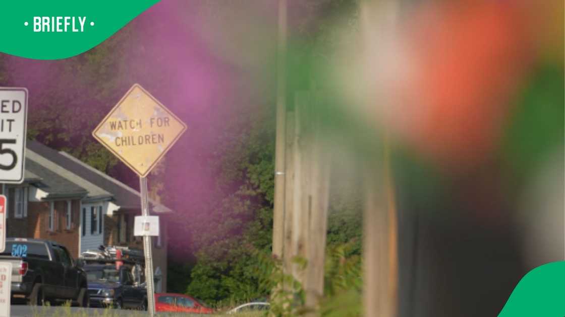 The visual showed that the area has a lot of children were the pink panther was roaming