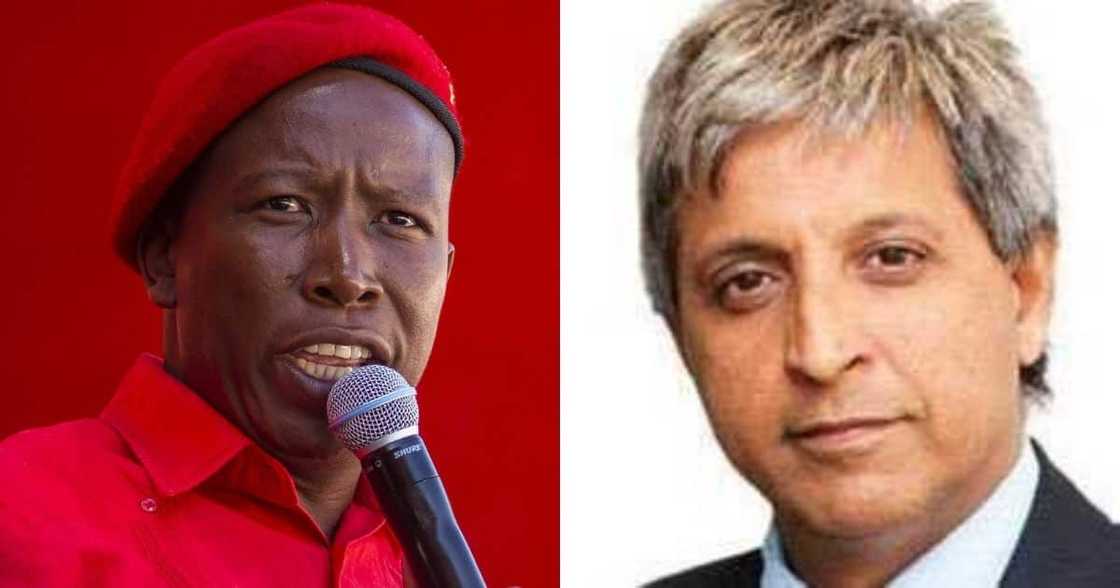 Julius Malema lashes out at Adam Habib, comparing tea with Zuma to Nazi meeting Julius Malema lashes out at Adam Habib, comparing tea with Zuma to Nazi meeting