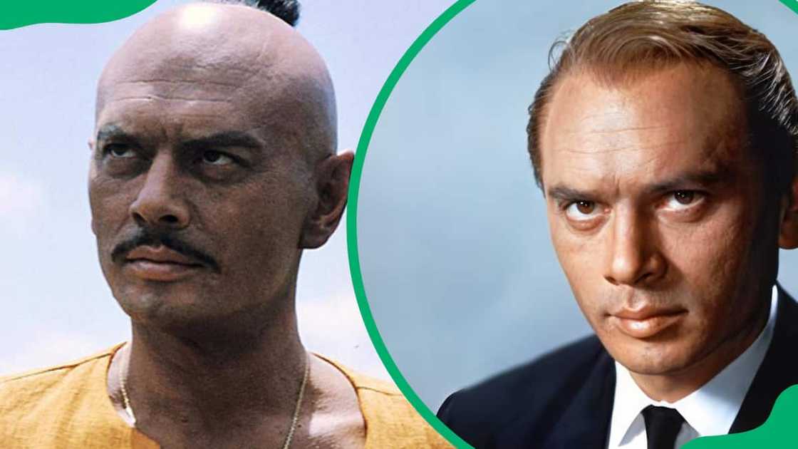 Yul Brynner posing for a photo Yul Brynner posing for a photo