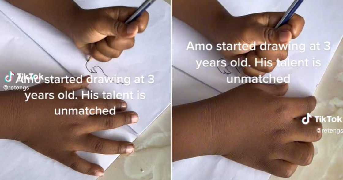 SA draws elephant in 30 seconds SA draws elephant in 30 seconds