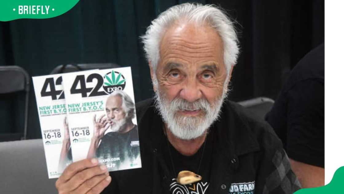 how old is tommy chong's wife how old is tommy chong's wife