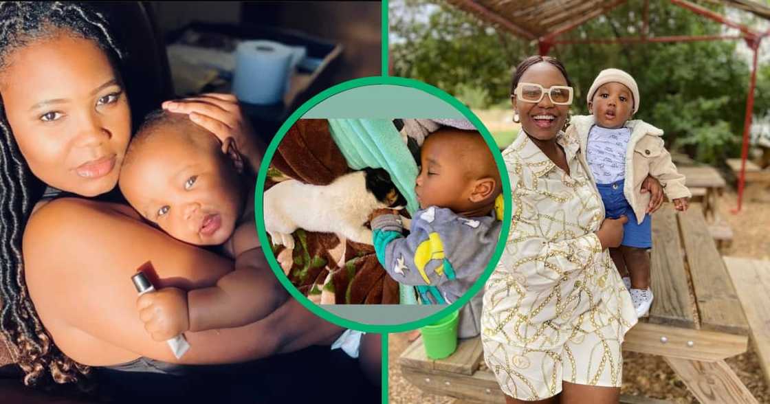 Friendship between toddler and puppy in TikTok video Friendship between toddler and puppy in TikTok video