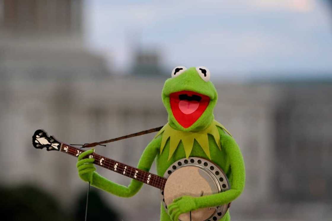 Kermit Kermit