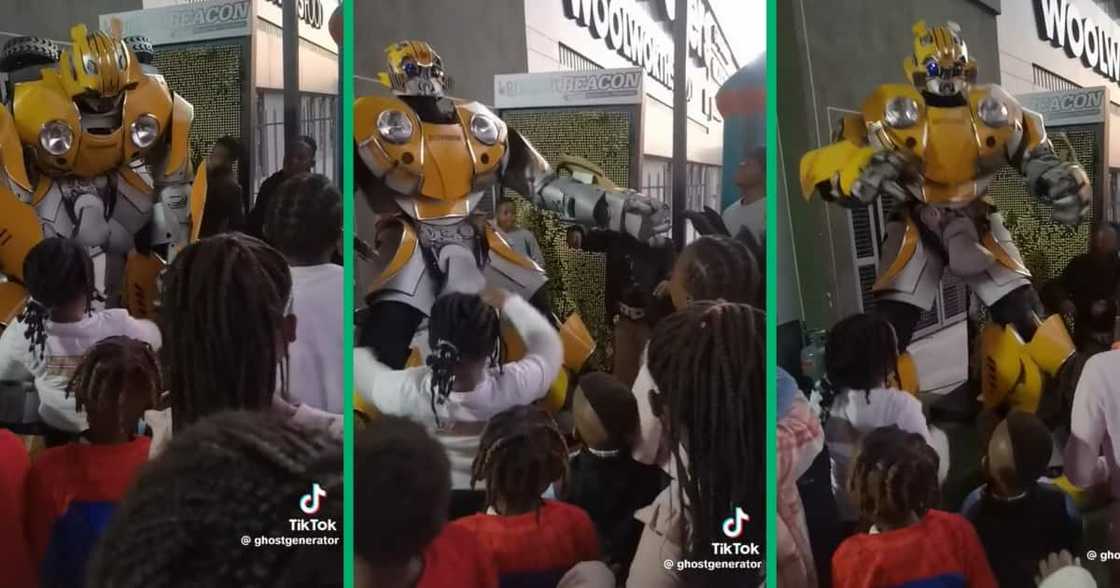 A Bumblebee maskot entertained kids A Bumblebee maskot entertained kids