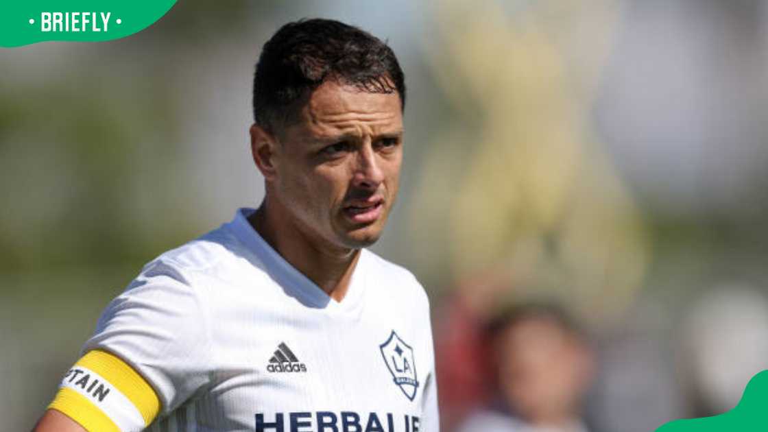 Javier Hernandez during the match between the LA Galaxy and St. Louis City SC Javier Hernandez during the match between the LA Galaxy and St. Louis City SC