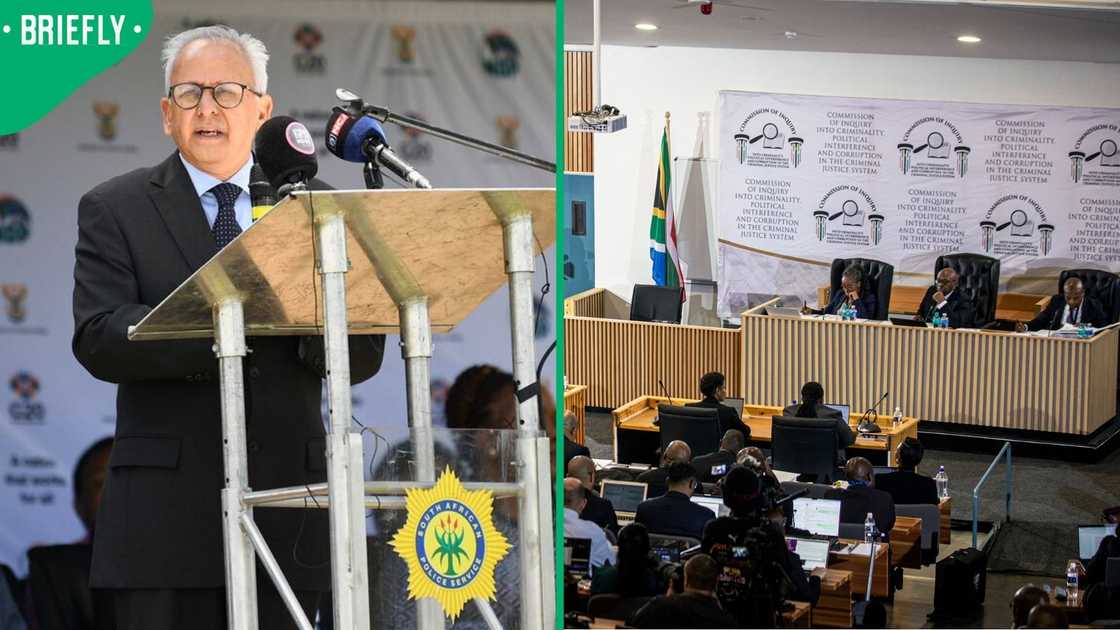 Professor Firoz Cachalia recommended that action be taken against officers implicated at the Madlanga Commission