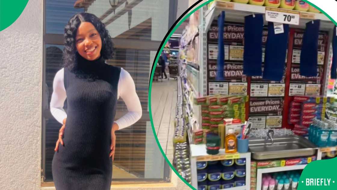 Boxer decor goes viral Boxer decor goes viral