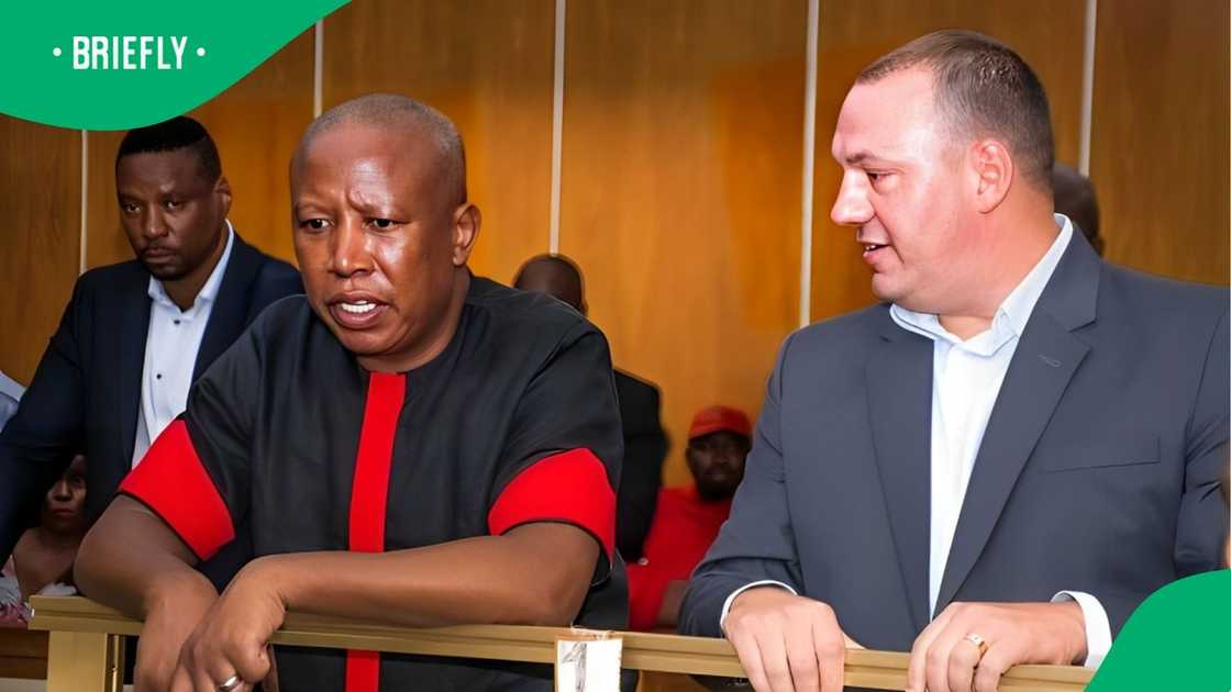 EFF leader Julius Malema firearm court case delayed EFF leader Julius Malema firearm court case delayed