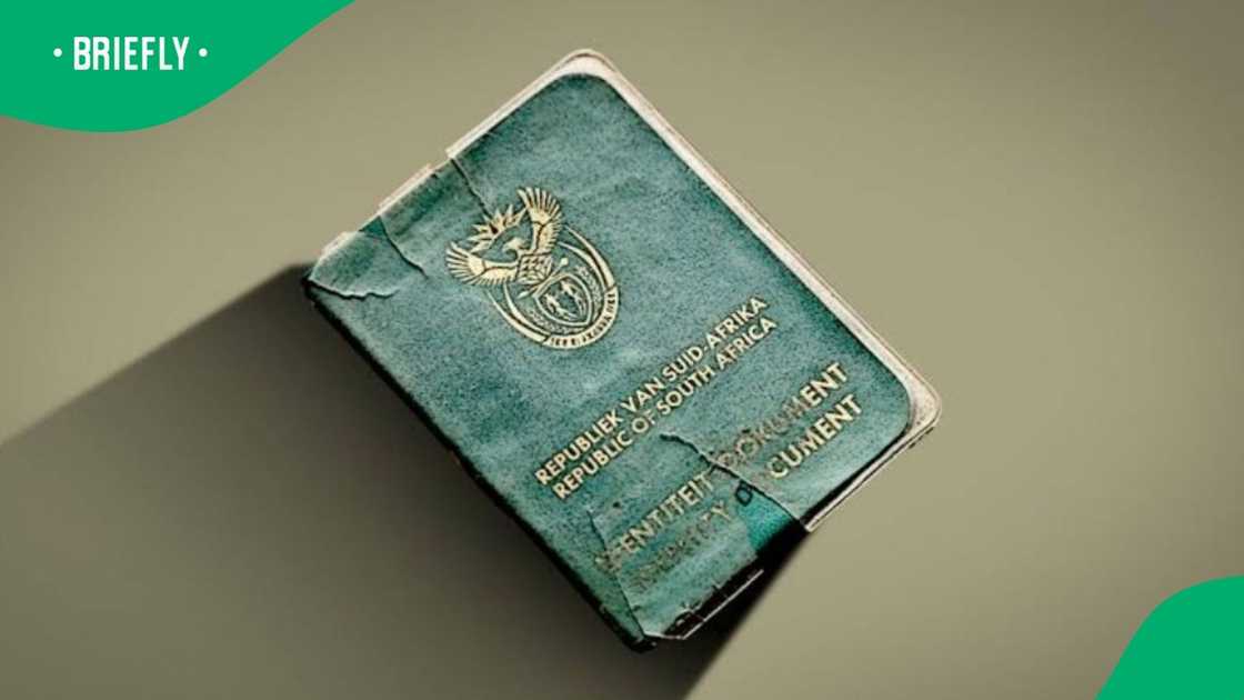 Woman shares drama caused by her green ID book Woman shares drama caused by her green ID book