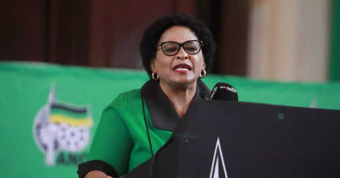 ANC NEC member Nomvula Mokonyane ANC NEC member Nomvula Mokonyane