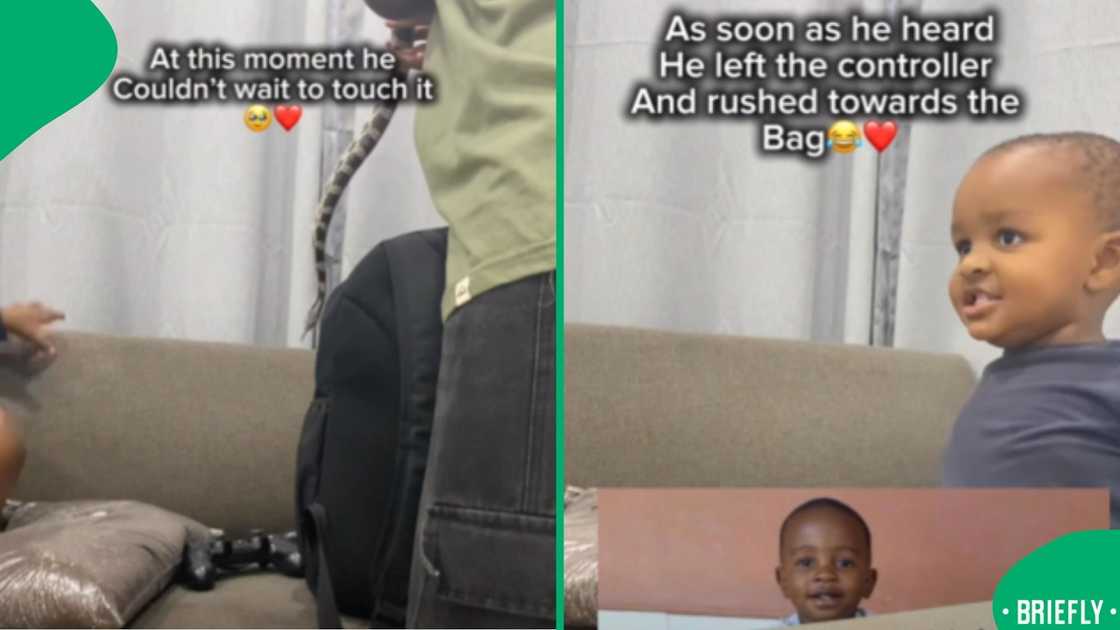 A teen revealed a live corn snake in a backpack, shocking viewers as his little brother embraced the unique pet