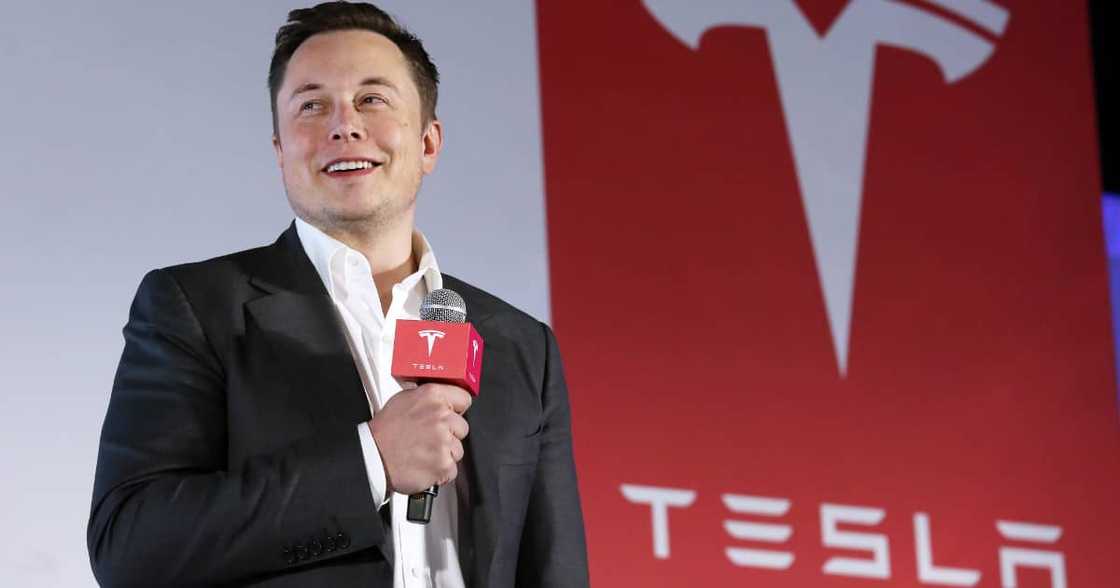 Elon Musk, Tesla stocks, Twitter poll, share price, electric vehicles