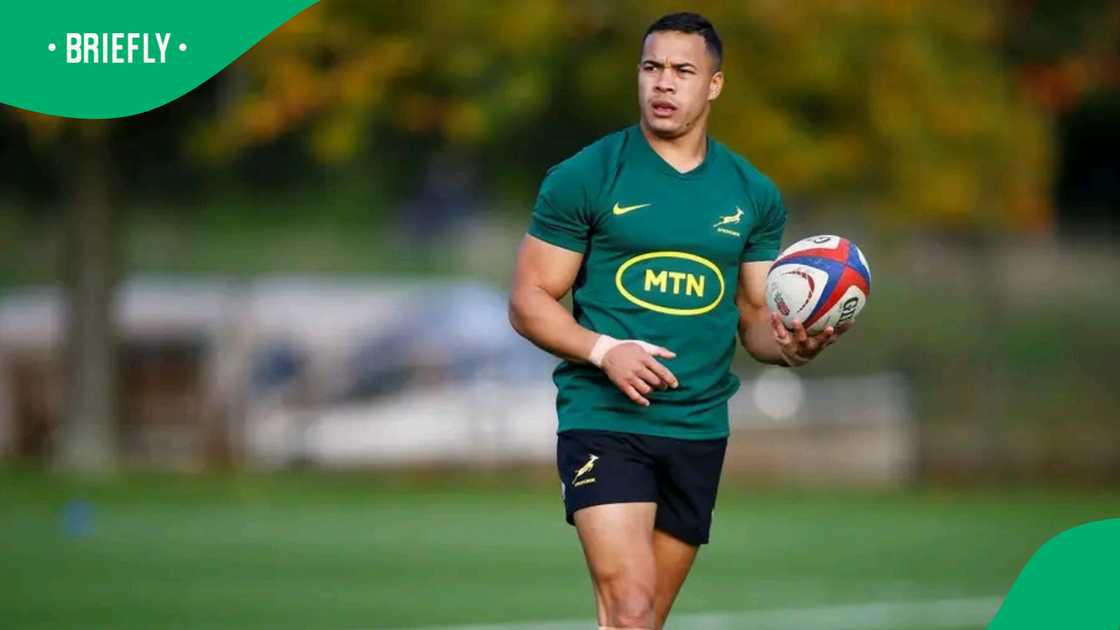 Cheslin Kolbe, former player for Toulouse, Toulon, Stormers, and Western Province, has also achieved multiple domestic and international rugby titles. Cheslin Kolbe, former player for Toulouse, Toulon, Stormers, and Western Province, has also achieved multiple domestic and international rugby titles.