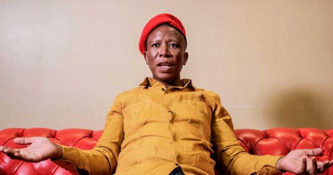 EFF, Politics, Instagram, Mzansi, Social Media, Julius Malema, Exposes Online Impersonator, Help Report Fake Account EFF, Politics, Instagram, Mzansi, Social Media, Julius Malema, Exposes Online Impersonator, Help Report Fake Account