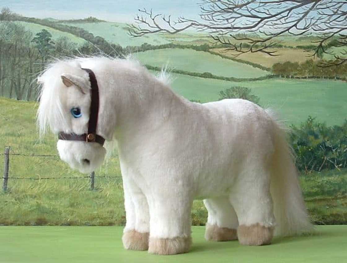 What is the most expensive horse in the world 2021? What is the most expensive horse in the world 2021?