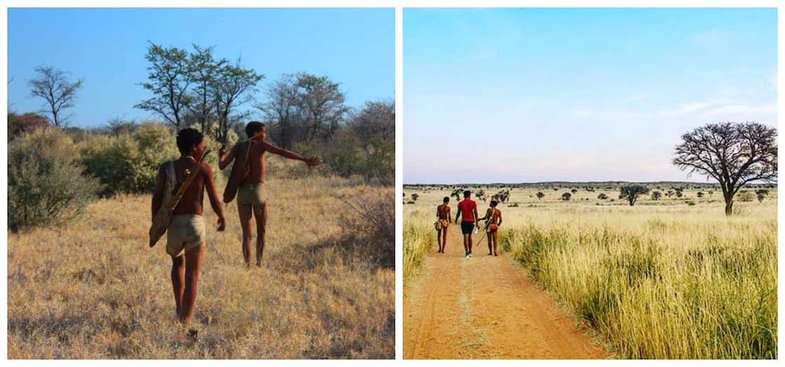 What is the 10th World Heritage Site in South Africa? What is the 10th World Heritage Site in South Africa?