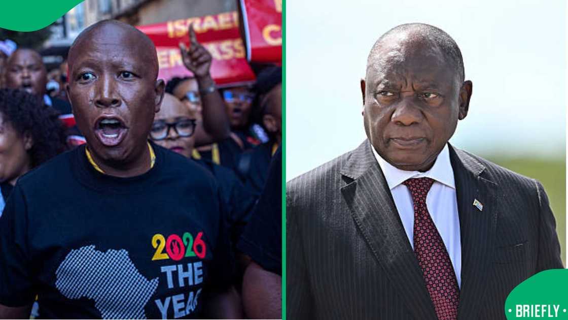 Malema and Ramaphosa Malema and Ramaphosa