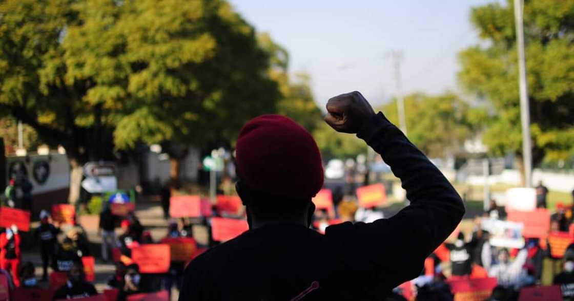 coronavirus coronavirus