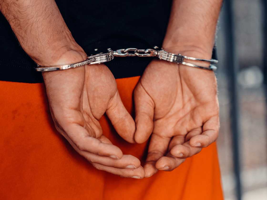 Peet Viljoen was arrested twice in 2026 Peet Viljoen was arrested twice in 2026