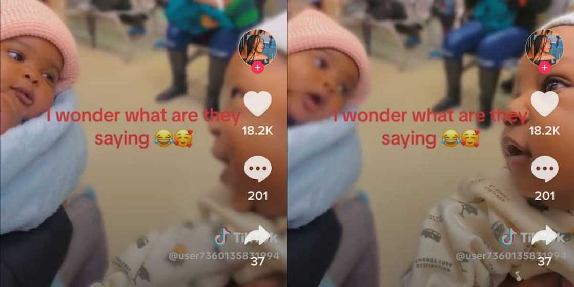 A TikTok video caught a magical conversation that took place between two infants talking in baby lingo. A TikTok video caught a magical conversation that took place between two infants talking in baby lingo.