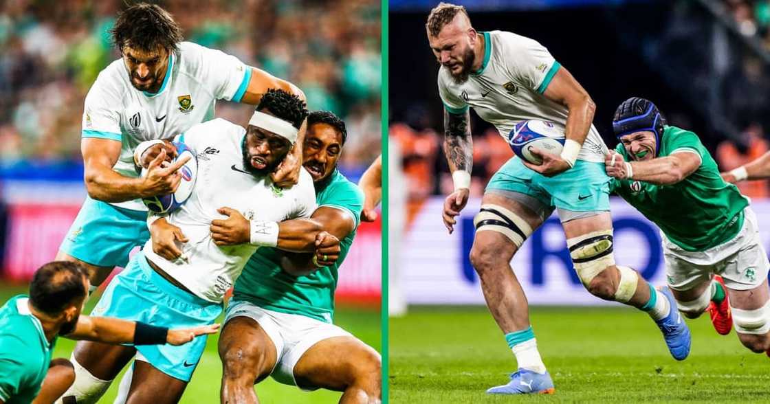 SA devastated by Ireland's victory of Springboks SA devastated by Ireland's victory of Springboks