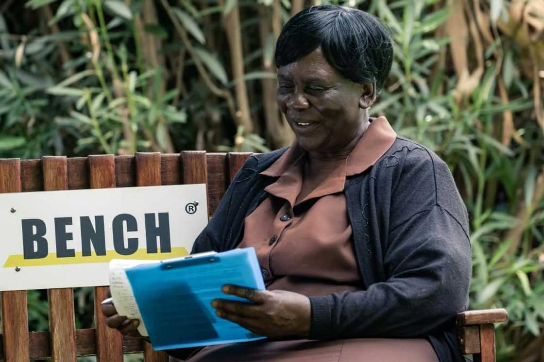 Grandma Shery Ziwakayi sits on a bench with a client during a counselling session at the Friendship Bench in Harare. A Zimbabwean doctor has come up with a novel way of providing desperately needed, yet free mental health therapy for Zimbabweans using elderly lay health workers. Grandma Shery Ziwakayi sits on a bench with a client during a counselling session at the Friendship Bench in Harare. A Zimbabwean doctor has come up with a novel way of providing desperately needed, yet free mental health therapy for Zimbabweans using elderly lay health workers.