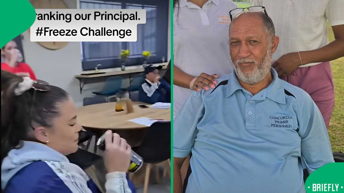 Staff at a Western cape school. Staff at a Western cape school.