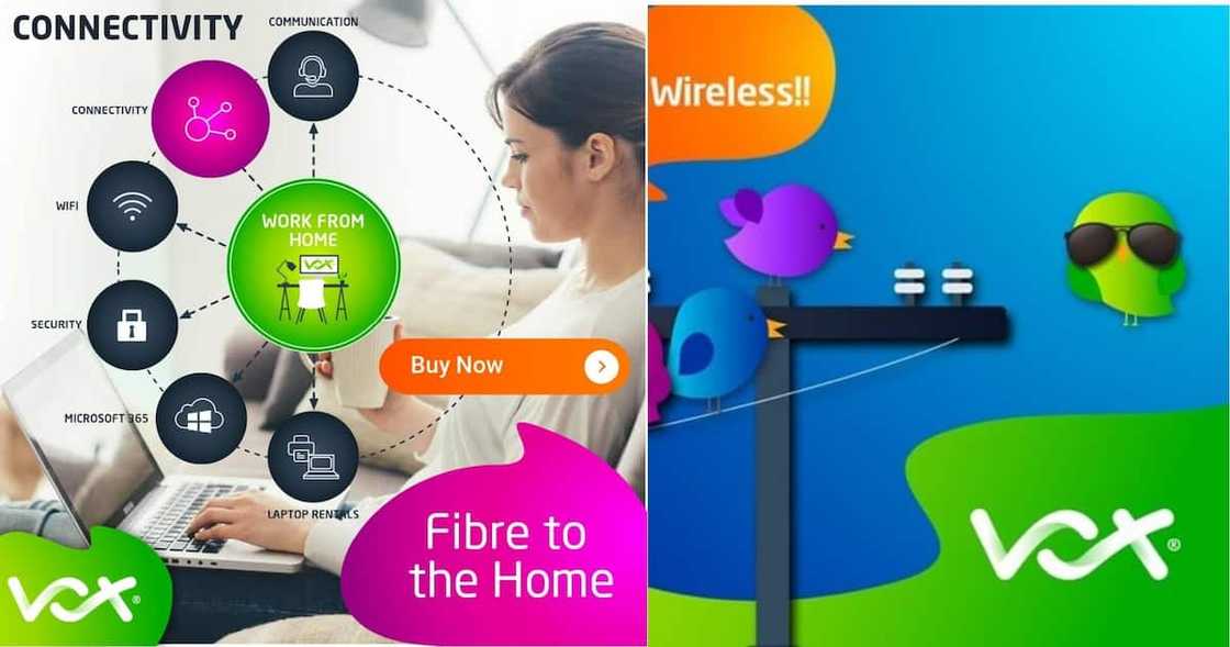vox fibre vox fibre