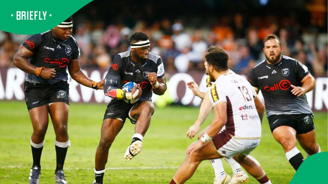 URC, Siya Kolisi, Sharks, South Africa