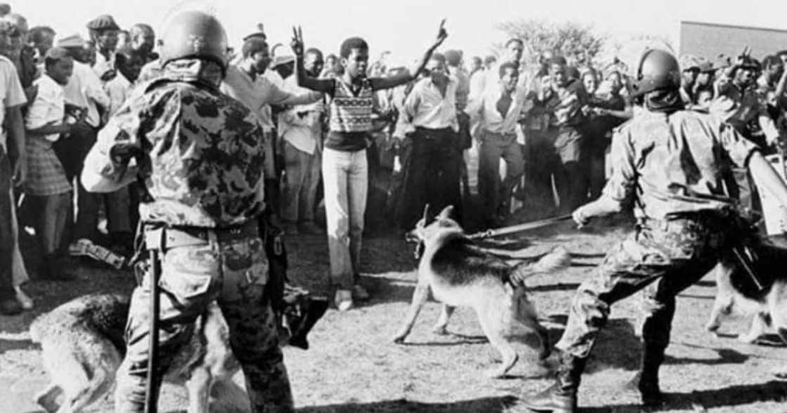 Twitter Users Reflect on Human Rights Day and the Sharpeville Massacre Twitter Users Reflect on Human Rights Day and the Sharpeville Massacre