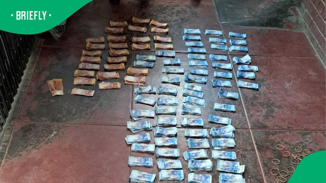 The suspect was charged with contravening the Immigration Act of South Africa, fraud, and money laundering. The suspect was charged with contravening the Immigration Act of South Africa, fraud, and money laundering.