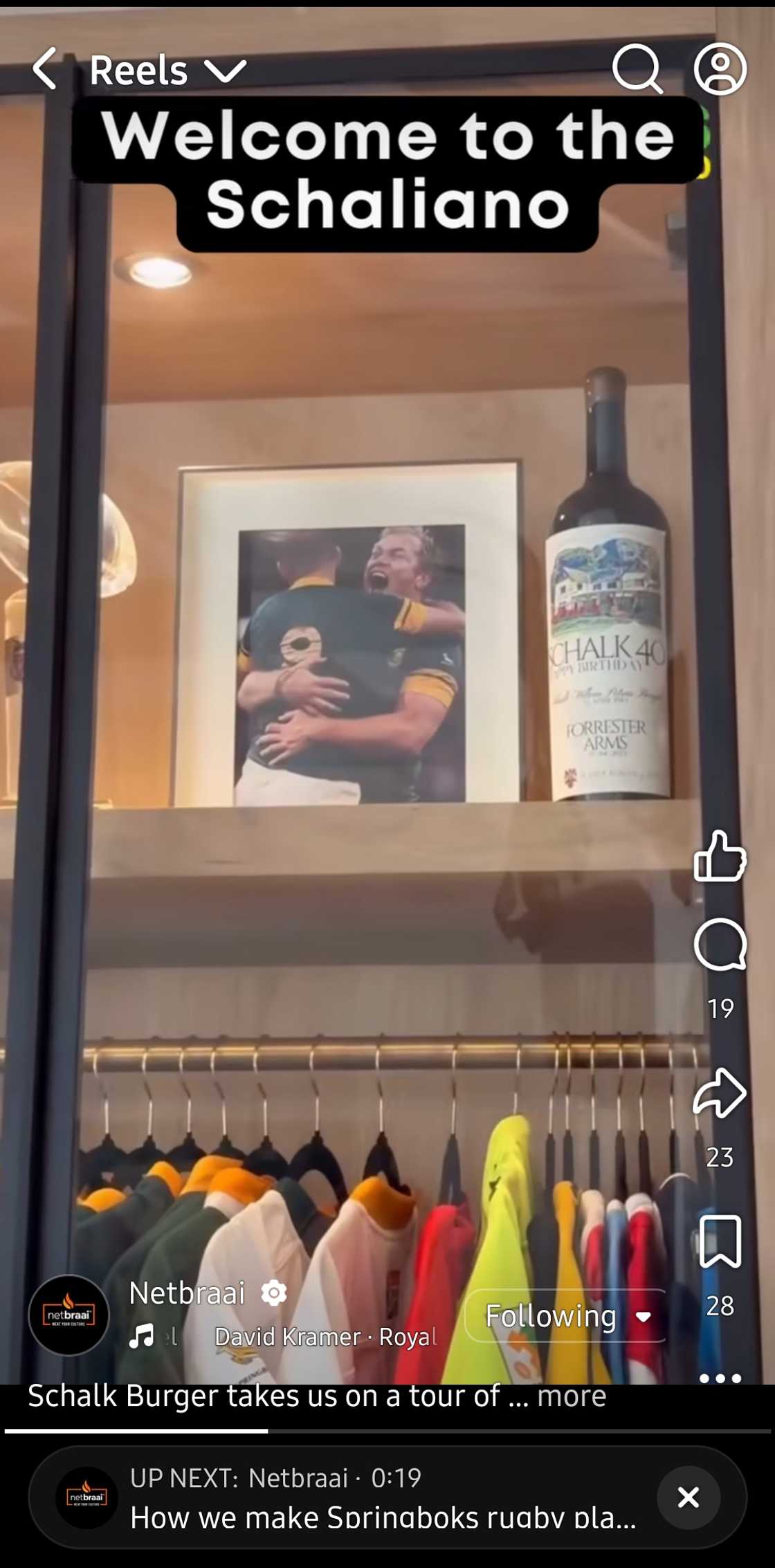 Springboks Springboks