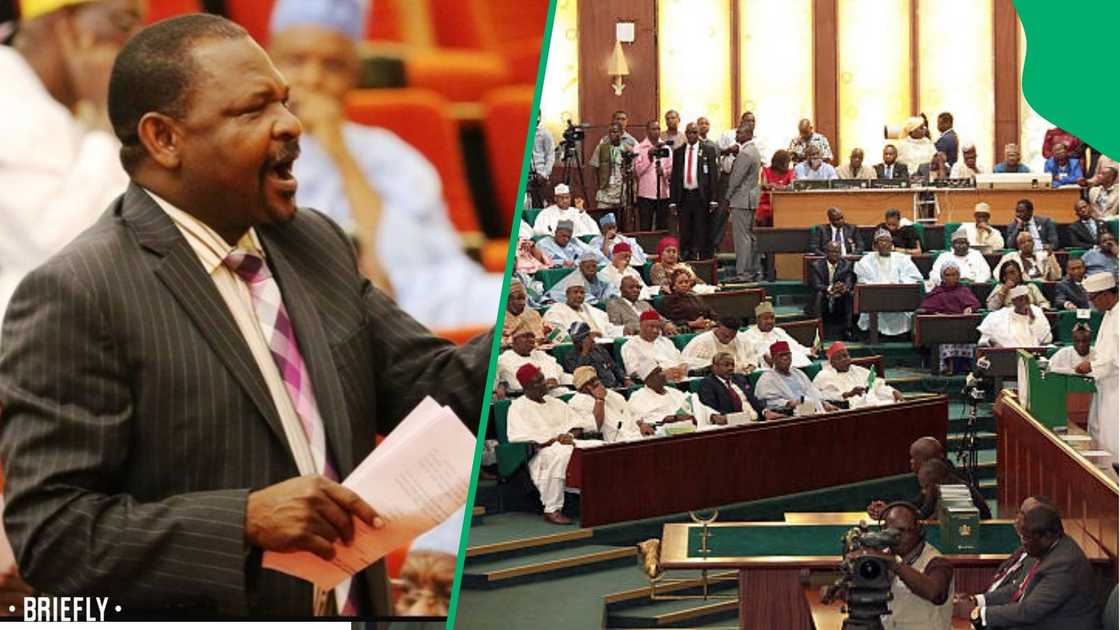 Nigerian senator