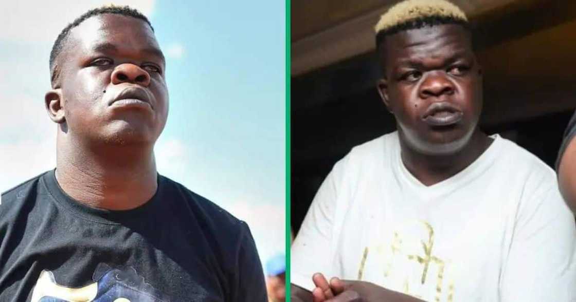 Skomota is tired of being a celebrity. Skomota is tired of being a celebrity.