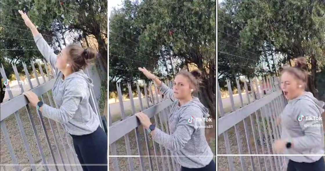 lady touches electric fence