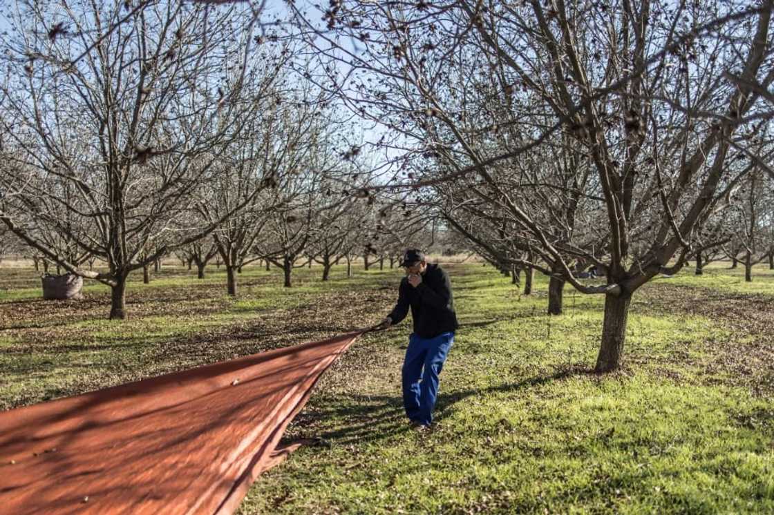 Built on privately acquired land along the Orange River during the dying days of apartheid, Orania manages its affairs autonomously