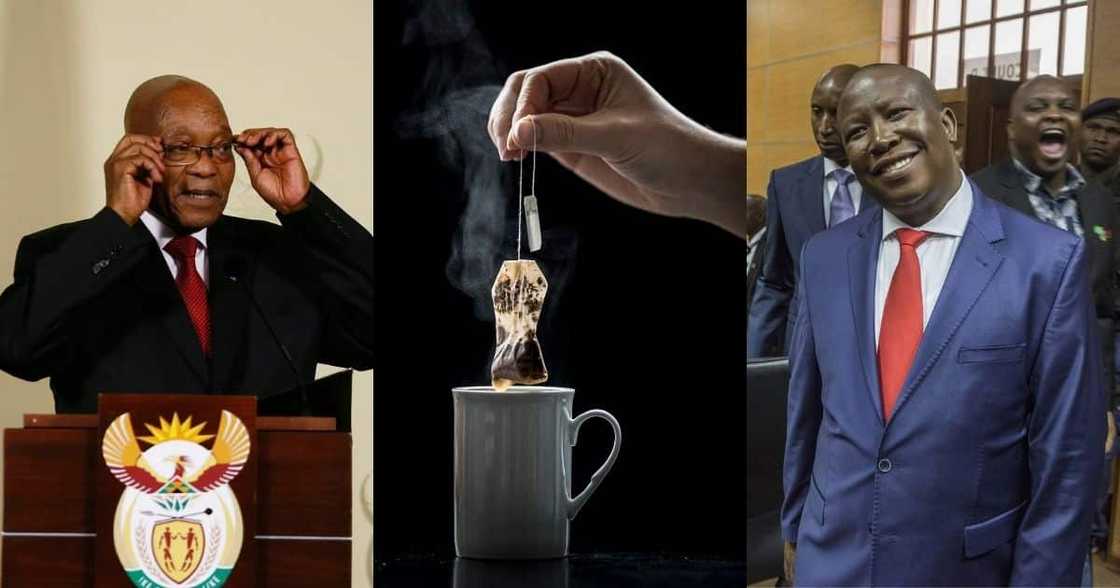 What's the tea: Mzansi speculates on Zuma and Malema's Nkandla teatime What's the tea: Mzansi speculates on Zuma and Malema's Nkandla teatime
