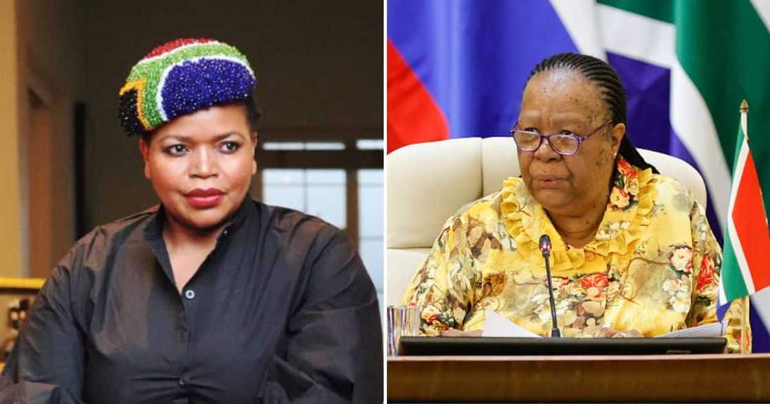 SA celebrities blast Minister Naledi Pandor SA celebrities blast Minister Naledi Pandor