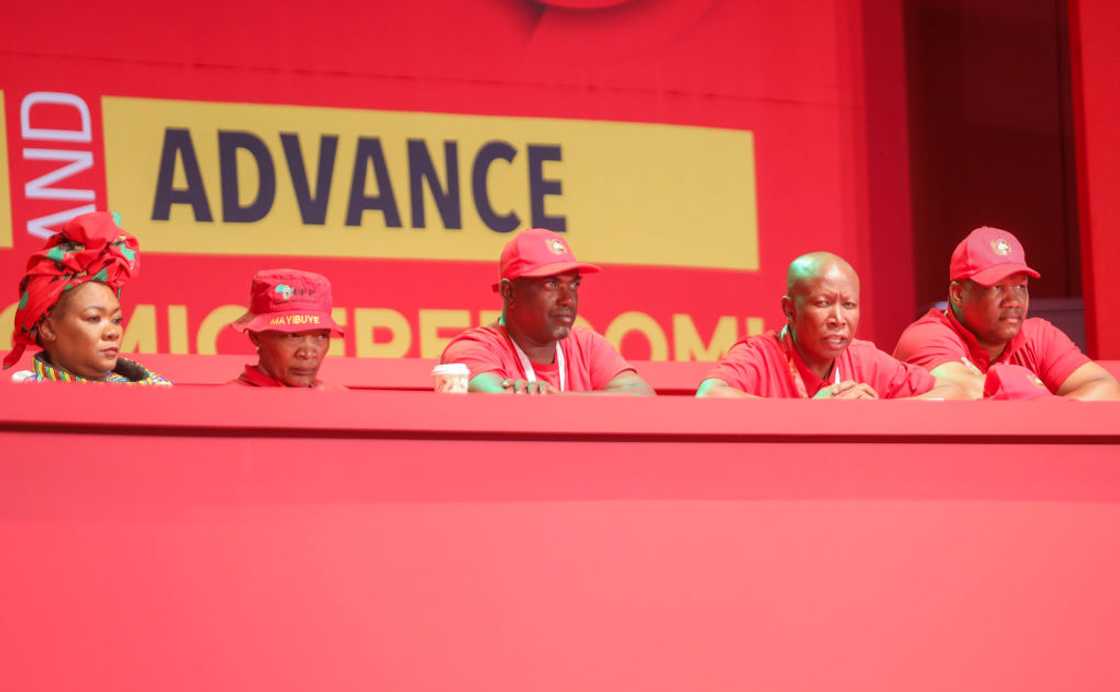 The EFF called on Ian Cameron to convene a Portfolio Committee sitting to address Mkhwanazi's allegations The EFF called on Ian Cameron to convene a Portfolio Committee sitting to address Mkhwanazi's allegations