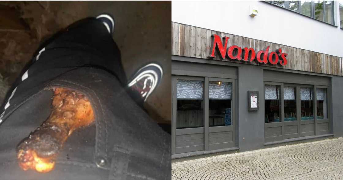 Are Skaftins Extinct: Nando's Asks Man with Drumstick in His Pocket Are Skaftins Extinct: Nando's Asks Man with Drumstick in His Pocket
