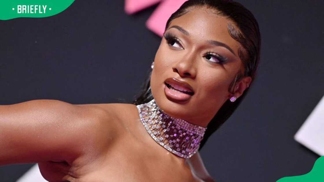 Megan Thee Stallion during the 2023 MTV Video Music Awards at Prudential Center Megan Thee Stallion during the 2023 MTV Video Music Awards at Prudential Center