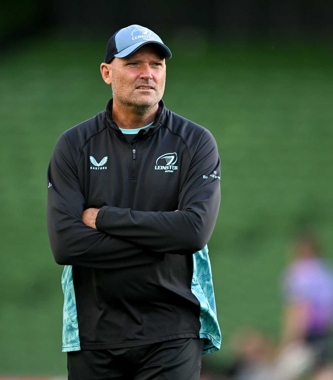 Jacques Nienaber, South Africa, Leinster, United Rugby Championship