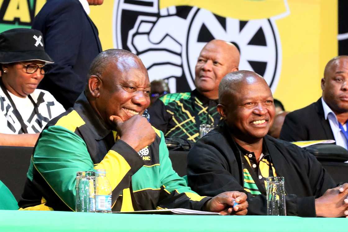 David Mabuza served as the country's Deputy President