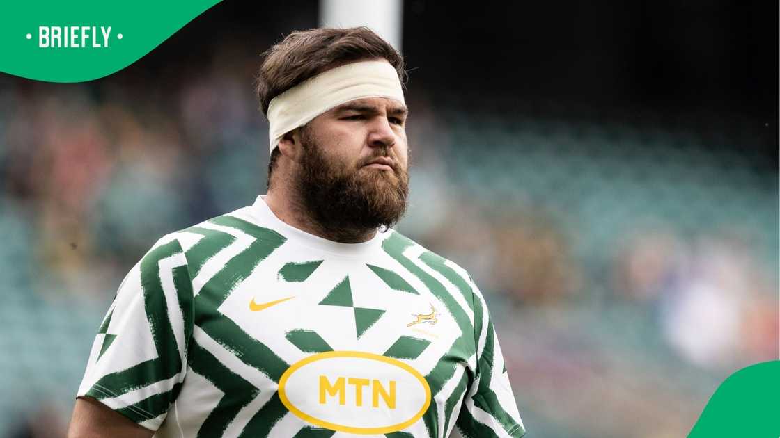 Frans Malherbe, Springboks, South Africa Frans Malherbe, Springboks, South Africa