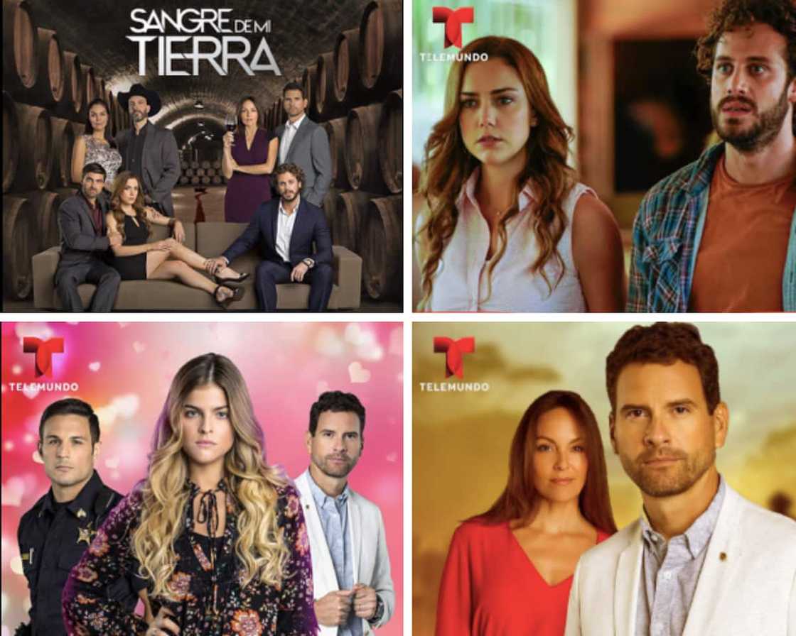 Blood and Wine Telemundo: Cast, plot summary, full story, trailer Blood and Wine Telemundo: Cast, plot summary, full story, trailer